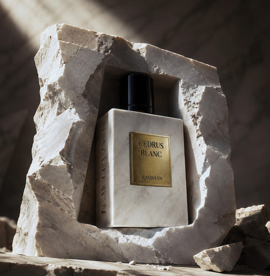 Rayhaan Cedrus Blanc Eau de Parfum Unisex 100ml | Fragancia Cítrica, Limpia y Amaderada