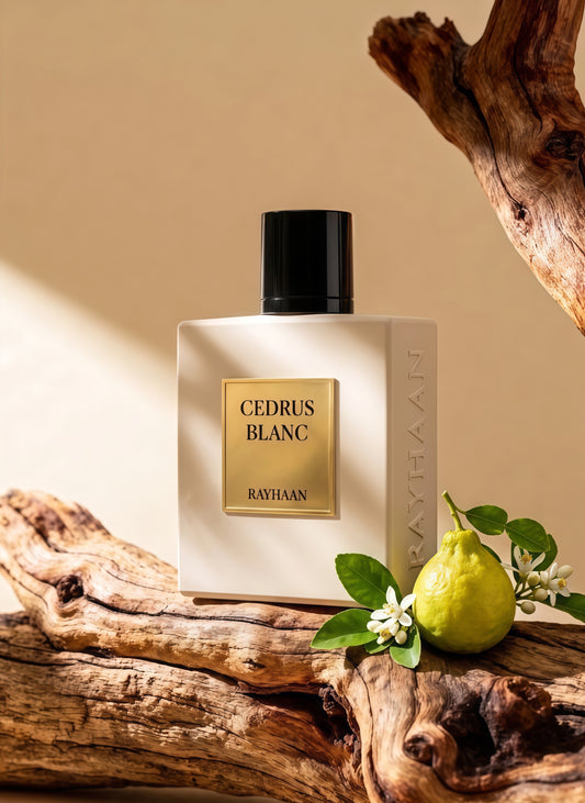 Rayhaan Cedrus Blanc Eau de Parfum Unisex 100ml | Fragancia Cítrica, Limpia y Amaderada