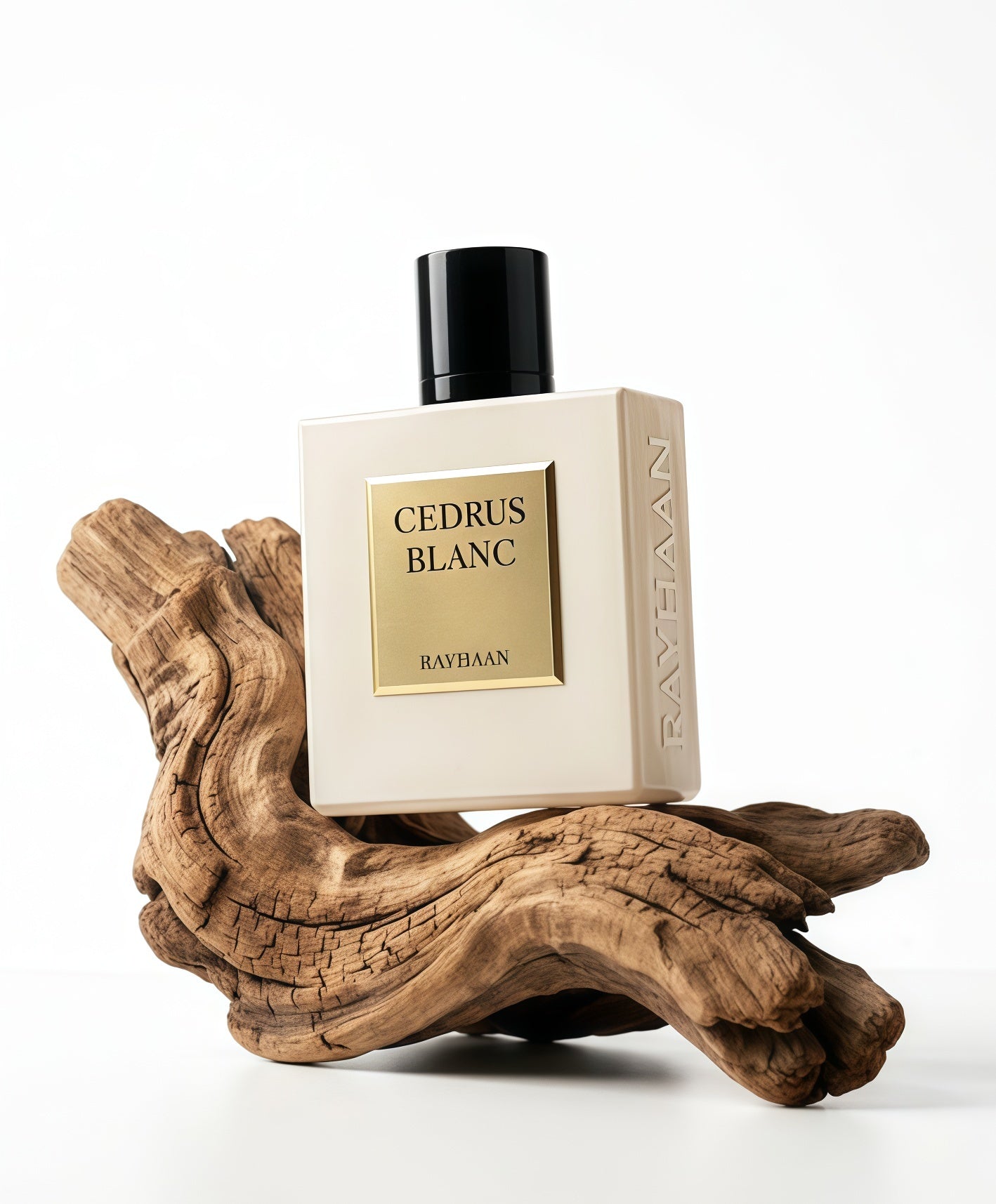Rayhaan Cedrus Blanc Eau de Parfum Unisex 100ml | Fragancia Cítrica, Limpia y Amaderada