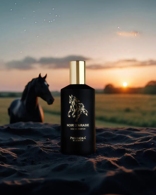 Pendora Noir d'Arabie Paris Corner Perfume Arabe Eau de Parfum Unisex 100ml Original Aroma Oscuro y Seductor Notas de Azafrán y Bergamota