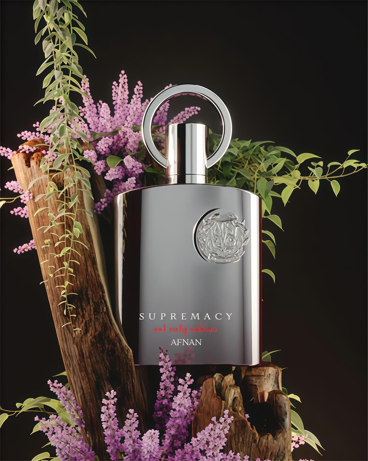 Supremacy Not Only Intense 100ml Perfume Hombre Intenso Elegante y Sofisticado con Notas de Bergamota y Patchouli