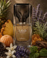 Fahad Eau de Parfum Hombre 100 ml - Fragancia Cítrica Aromática y Amaderada para Hombres Elegantes y Sofisticados